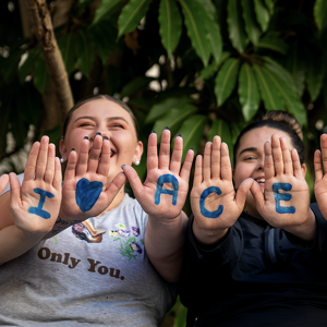 ACE Scholars Services